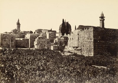 Luoghi desolati a Gerusalemme tra il Monte Sion e il Tempio Santo da Francis Frith